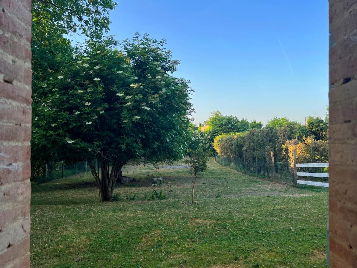 Residence La Salamandre Kamers Rabastens ภายนอก รูปภาพ