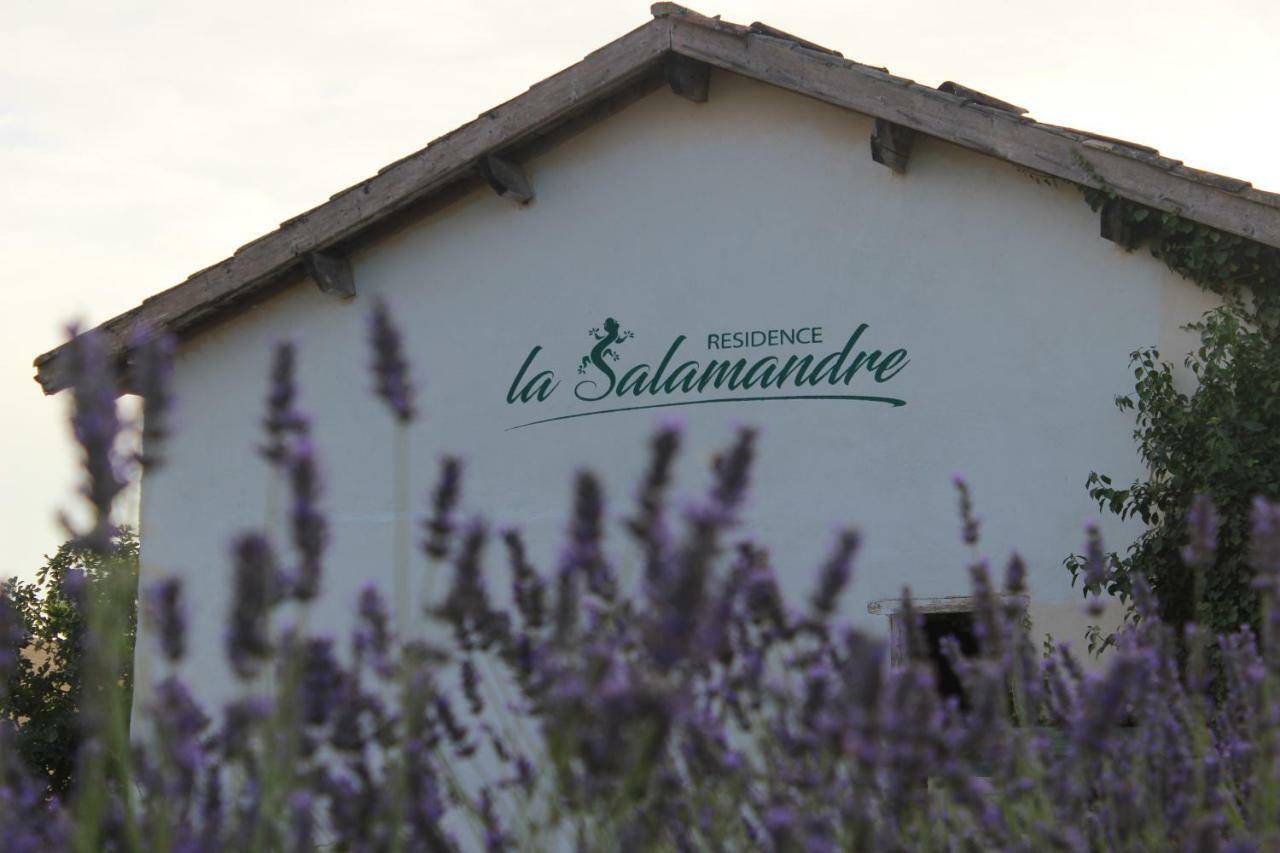 Residence La Salamandre Kamers Rabastens ภายนอก รูปภาพ
